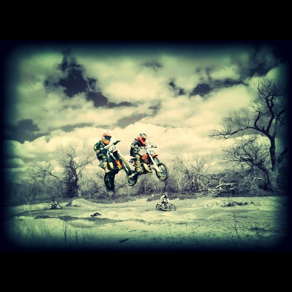 Meet your Posher, Remy - Picture 8 of 8